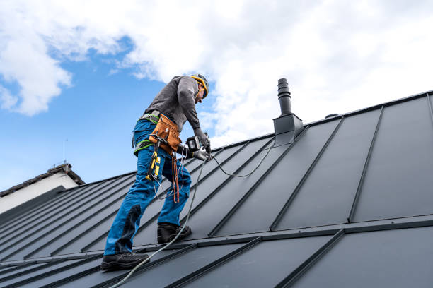 Best Steel Roofing  in Waupun, WI